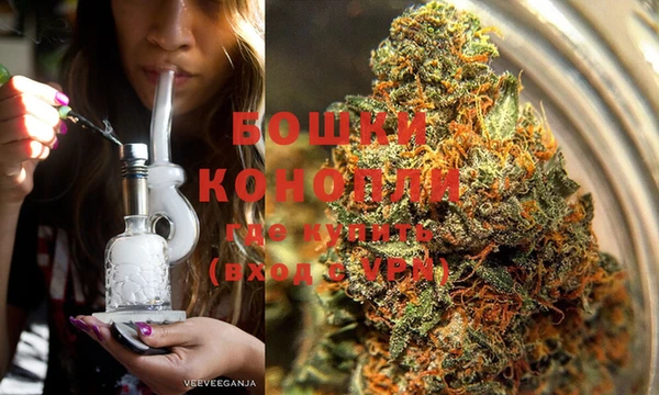 гашик Богородск