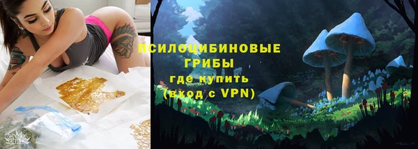экстази Богданович