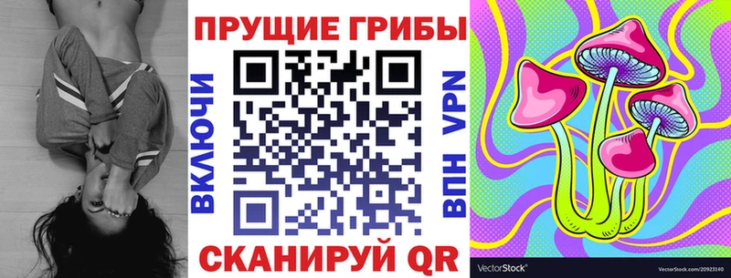 Псилоцибиновые грибы Magic Shrooms  Купить  Колпашево 